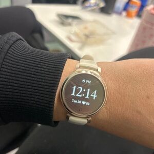 Garmin Silver Smartwatch with White Band